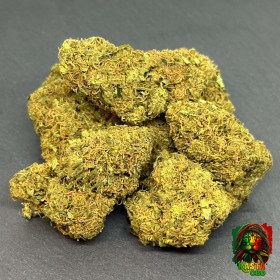 ORANGE BUD FLEUR DE CBD GREENHOUSE ORANGE BUD FLEUR DE CBD GREENHOUSE Rasta CBD - 1