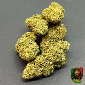 GORILLA GLUE FLEUR DE CBD INDOOR GORILLA GLUE FLEUR DE CBD INDOOR Rasta CBD - 1