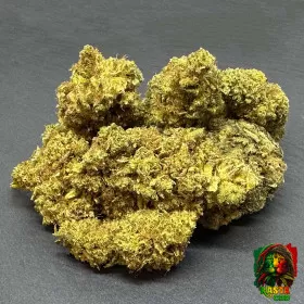 WATERMELON FLEUR DE CBD INDOOR WATERMELON FLEUR DE CBD INDOOR Rasta CBD - 1