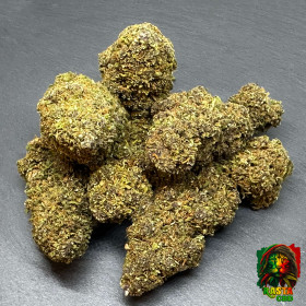 PURPLE BIG BUD FLEUR DE CBD INDOOR PURPLE BIG BUD FLEUR DE CBD INDOOR Rasta CBD - 1