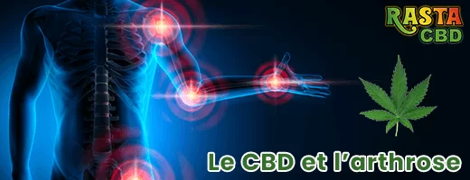 CBD pour l'arthrose